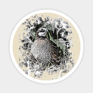 Northern Bobwhite Magnet